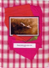 Plunge Boldly