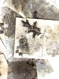 Variety Size Pack Eco Prints