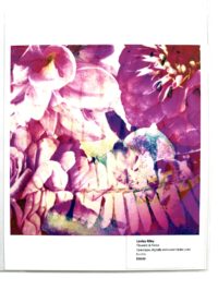 Flowers & Fauna Print