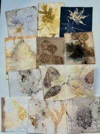 11 Stunning Ecoprints + A Bleach Print